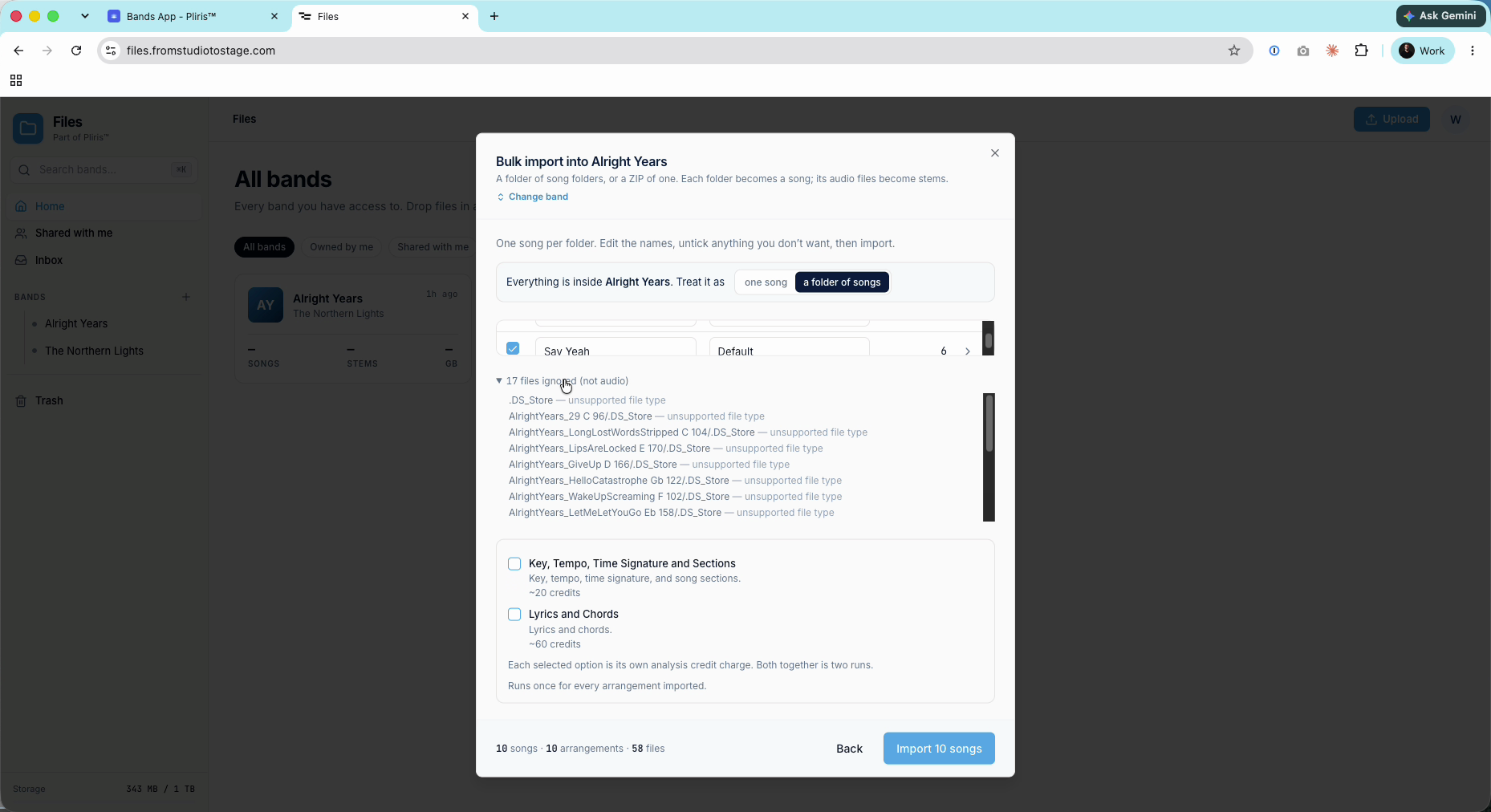 Ignored files and the analysis options.