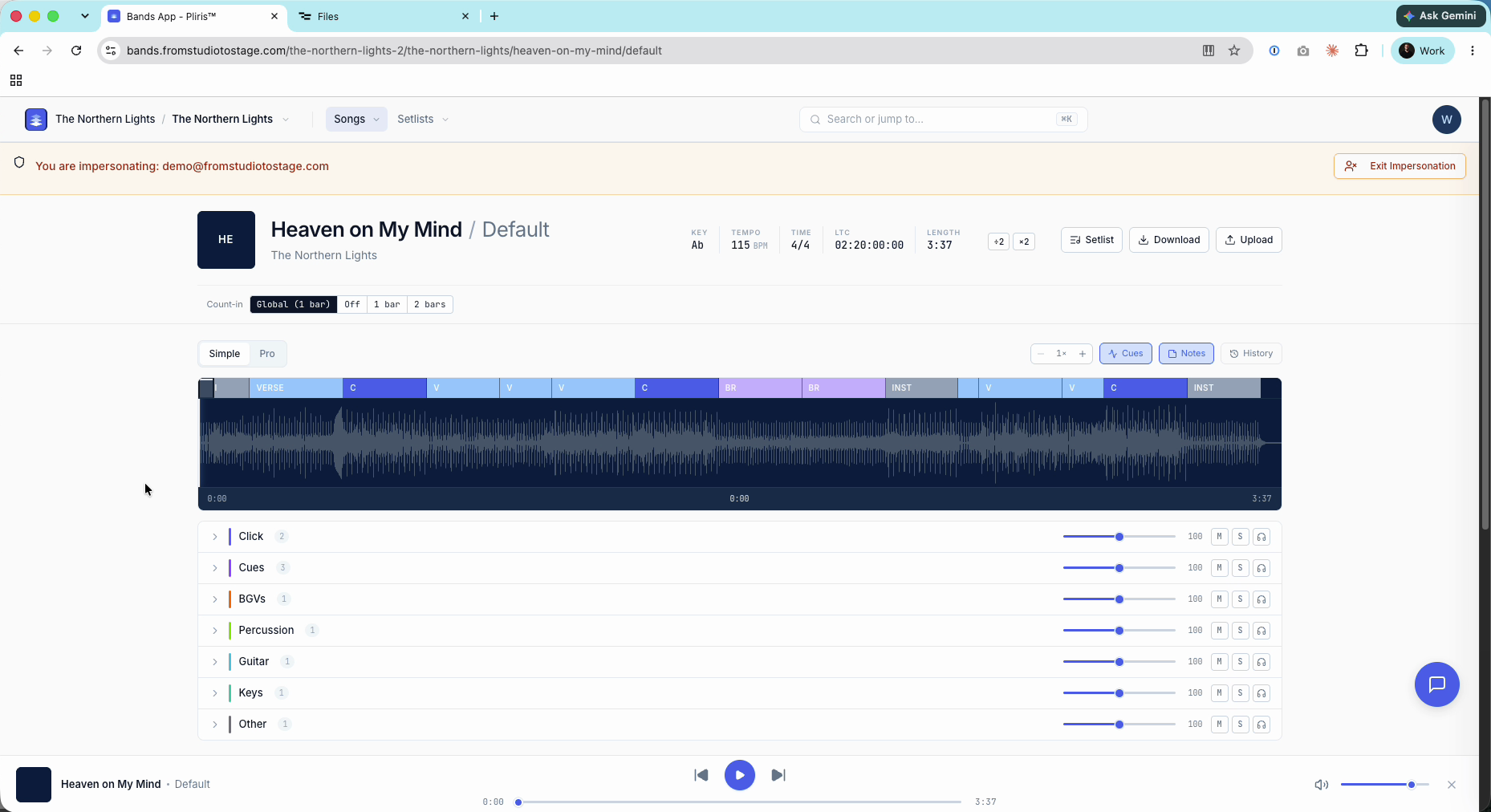 The finished song with sections on the timeline.