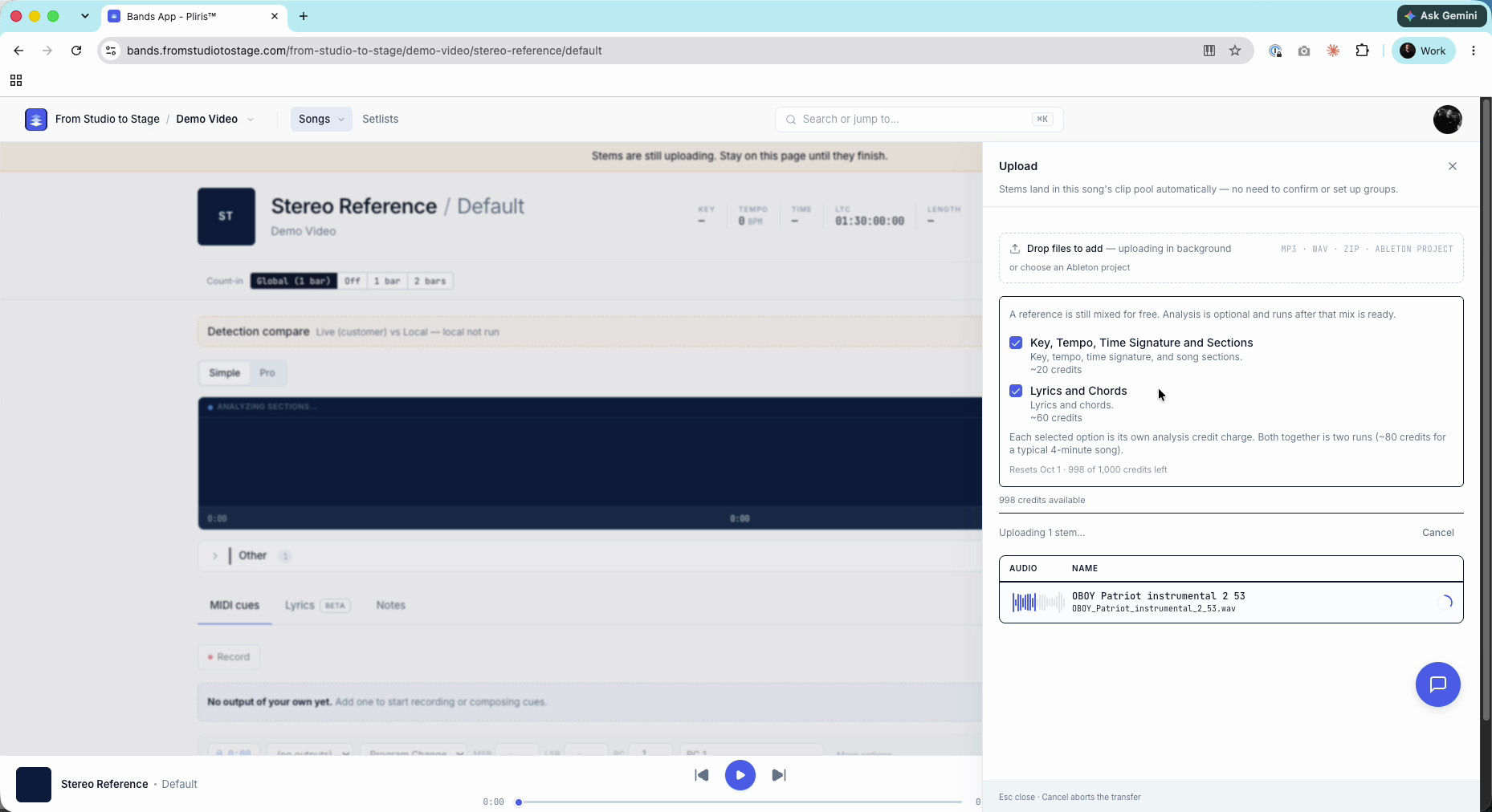 The analysis options with credit estimates.